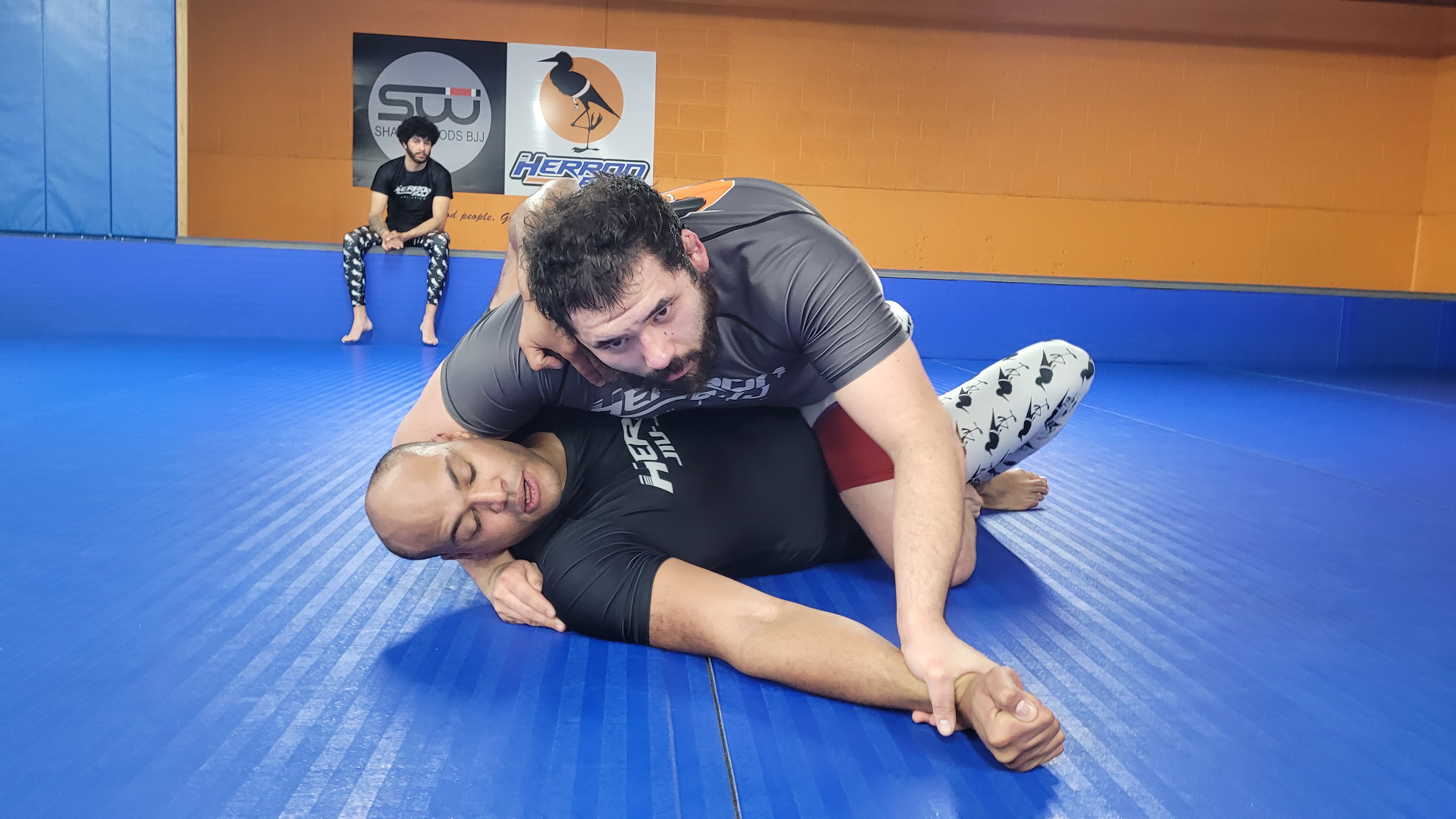 No Gi Class Example